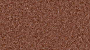 RL.101-010