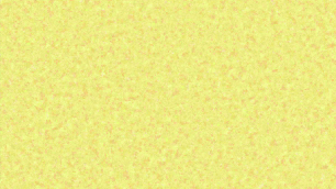 RL.101-031